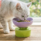 Elevated Bloom Ceramic Bowl