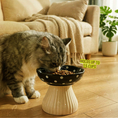 Elevated Mushroom Ceramic Bowl